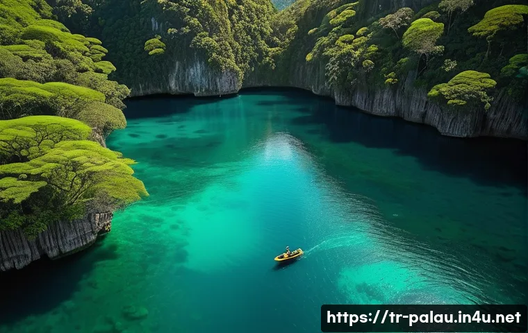 Palau Macerası: Su Altı Cennetinin Keşfedilmeyi Bekleyen 7 Sırrı 3 팔라우에서의 모험 여행 관련 이미지 1